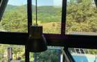 Cabane A frame + Teren 6000 mp |  Proprietate deosebita, NOU - 36