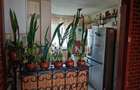 Ap 4 camere |Balcon |Zona Manastur-Parâng/McDonald’s/Petrom - 4