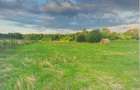 TEREN INTRAVILAN CU PUZ\ 704 MP\CARANSEBEȘ\ ZONA TEIUȘ - 1