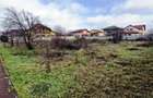 Buftea-Independentei - 5