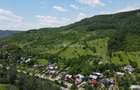 Teren spectaculos cu padure, livada si priveliste panoramica in Soimari PH - 3