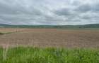 Teren extravilan 18.500 mp in Selimbar / jud. Sibiu - 1