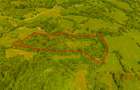 Teren ideal recreere/conectare cu natura/zona Fagaras/achitare in rate - 6