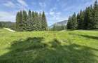 PREDEAL - Teren intravilan 6,000 m² -Poiana Secuilor - 7