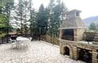 Locatie exceptionala la munte - 2
