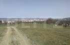Teren intravilan, 15.904 mp, zona Dambu - 5