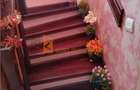 Casa tip P+M zona Smeeni - 11