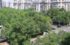 UNIRII,apartament superb, imobil monolit stradal,locatie top in inima capitalei - 10