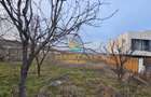 Teren intravilan 1.500 mp Strada Unirii Popești-Leord - 26