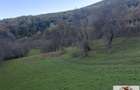 Vanzare casa cu 17399 mp teren Vintu de Jos - Valea Vintului - 8
