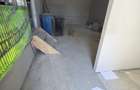 SPATIU COMERCIAL| 227 MP UTILI | ULTRACENTRAL| TERMEN LUNG| - 20
