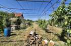 Teren extravilan de vanzare, 2000 mp, zona Careiului - 2