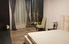 Nordului, 4 camere, living 70mp, renovat, mobilat, garaj, pet friendly - 5