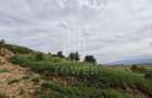 Teren intravilan de vânzare în Viile Sibiului – 542 mp, panoramă superbă - 8