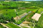 Teren cu panorama superba in Berchezoaia + bonus rulota - 2