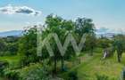 Casa saseasca, 2500 mp teren, 2 fronturi stradale – Cristian – 0% comision - 7