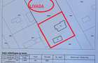 Casă 4 camere+teren 1.750 mp în Mitreni-Valea Roșie+casa secundara+veg. matura - 4