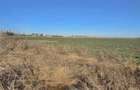 Eforie Nord | Teren cu Potențial | Deschidere mare la șosea - 5