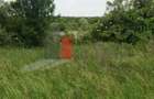 Teren Buftea cu iesire la lac - 25