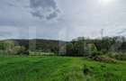 PADURE SALCAM, 120000mp, BRADESTI - 3