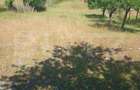 2000 MP TEREN INTRAVILAN IN ZONA VALEA GHINZII - 6