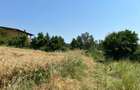 Ciolpani -Ilfov - teren 4000 mp