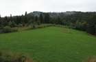 TEREN PREMIUM 5.023 MP ÎN VORONEȚ | BUCOVINA | ZONA MĂNĂSTIR - 3