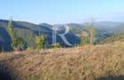 Teren Intravilan | 3.000 mp | Gârda de Sus | Alba | - 2