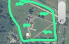 OPORTUNITATE/Teren intravilan construibil/25800mp/Orastie - 1