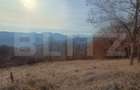 Teren extravilan, 12000 mp, curent com. Ramet - 1