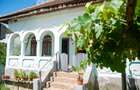 Casă cu teren 3800 mp,situată in com. Berislăvesti - 1