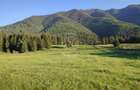 Teren PIATRA FANTANELE - 11.800 mp- ideal investitie, pensiune, hotel - 3