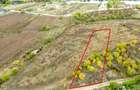 Teren 3000 mp în Snagov – zonă in dezvoltare, aproape de pădure - 9