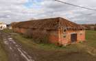 Fermă cu teren intravilan de 35000 mp în Mișca - 22