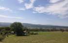 Pădure 268 ha in jud. Bacau, teren, constructii