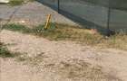 678 mp. str. N.Stoica de Hateg 96, colt cu str.Sanzaienelor/Dafinului - 4