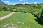 Teren 500mp Tohanita (intre castelul Bran si Zarnesti), padure + parau - 5
