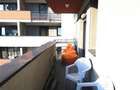 Apartament 2 camere ,Complex Iris 7 , zona Aradului - 4