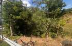 TEREN INTRAVILAN - 2500 MP - Valea Mare- Podgoria - 6
