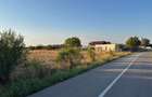 Teren 6700 mp Olteni, jud. Dâmbovița – la doar 900 m de Autostrada A1 (km 63) - 5