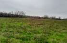 De vanzare casa +teren 16k mp in BARCANESTI / IL - 54