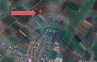 Teren 30.000 MP | Hălchiu |  Jud. Brasov - 6
