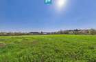 Teren intravilan 3024 mp, în comuna Almaș, Arad - 5