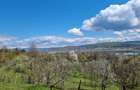 Pamant vanzare | Lac Zigoneni | Valea Lui Enache | Priveliște superba - 8
