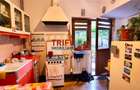 Casa tip duplex de vanzare zona Cetate - 12