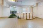 Spatiu comercial cu teren Arcul de Triumf - 14
