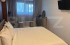 Apartament 4 camere, 160 mp, et.3, zona Calea Severinului-Bila - 16