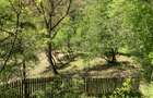 DOMENIU EXCLUSIVIST Băile Govora: 2500 mp cu Helesteu, Pârâu, Pădure, Utilități - 3