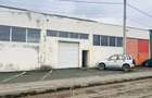 Vand hala industriala - 1