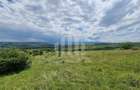 Teren extravilan | De vanzare | 1400 mp | 13 ml deschidere | Paclisa - 5